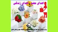 اهدای عضو اهدای زندگی